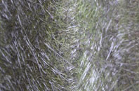 Glencaple fibreglass roof work